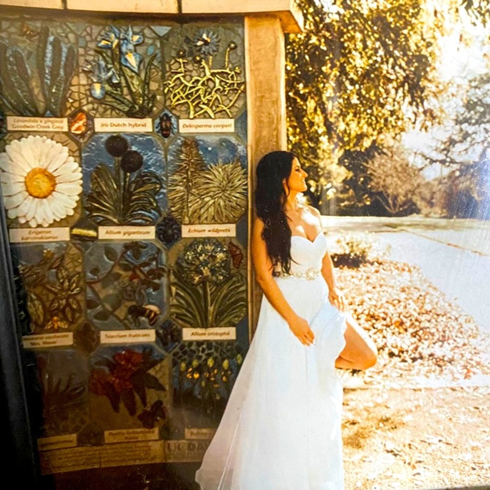 A beautiful corset jeweled wedding dress
